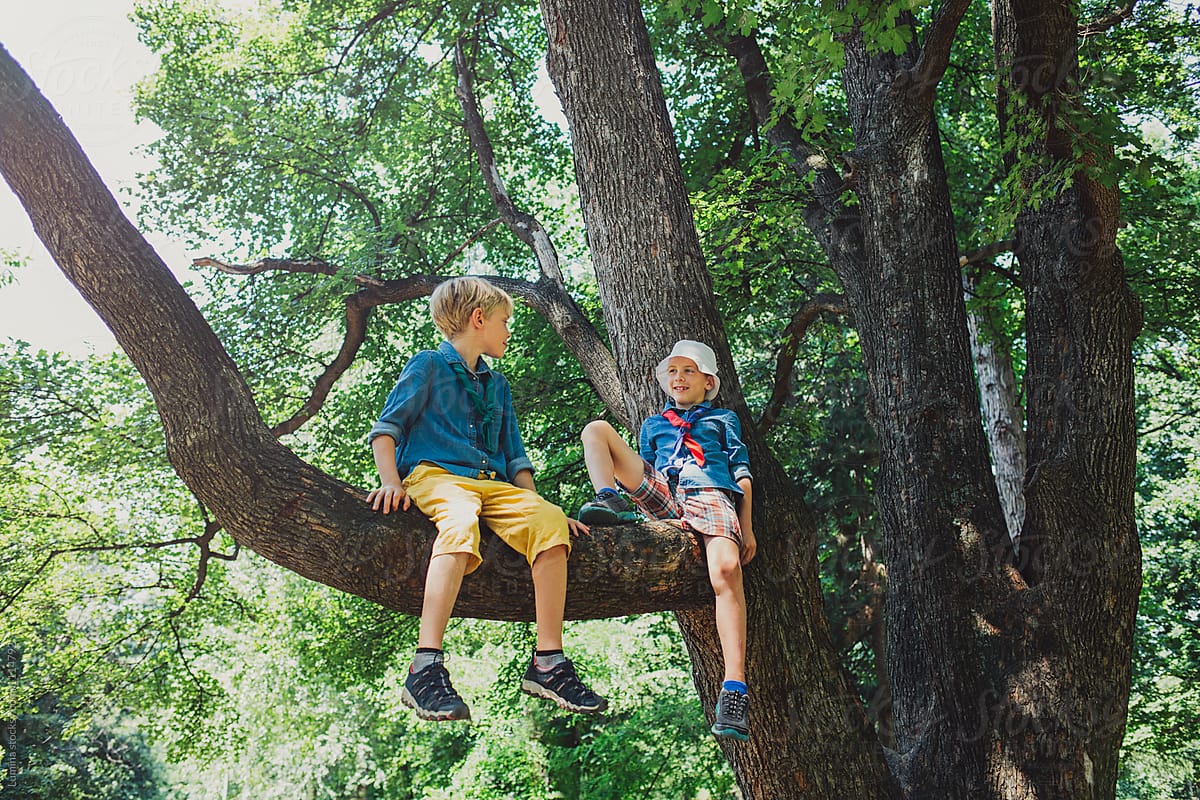 Two Boys Sitting On The Tree By Stocksy Contributor Lumina Stocksy