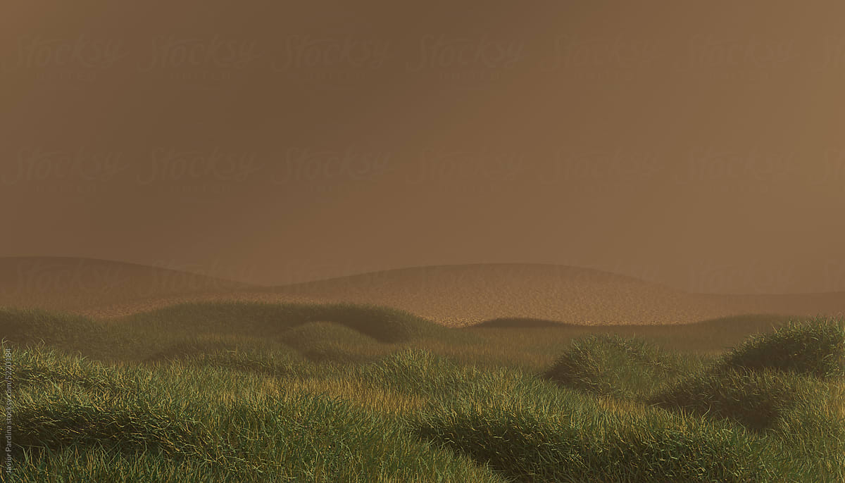 Minimal landscape with fog