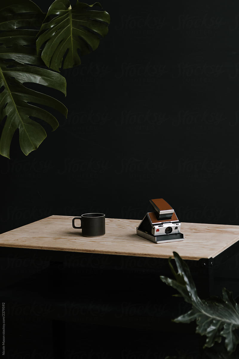 vintage camera and coffee mug on wood desk with dark background and leaves