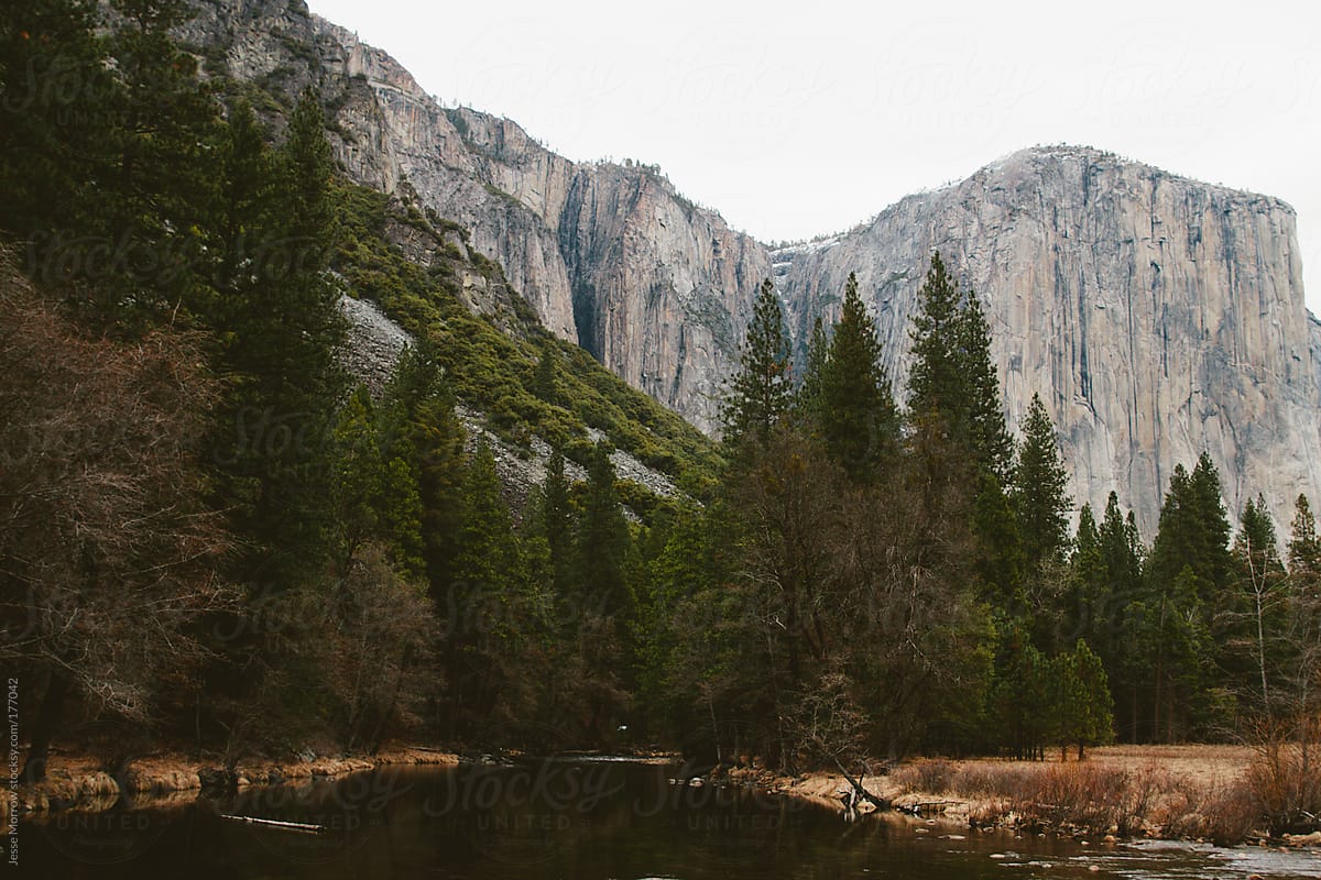Yosemite Valley View Lodge: Is It Actually the Best Place to Stay?