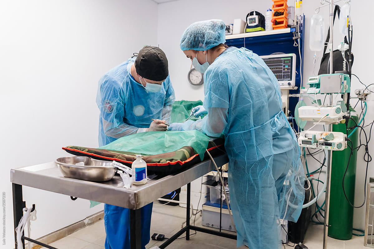 Operating Room During A Surgery Of A Dog In A Veterinary Clinic.