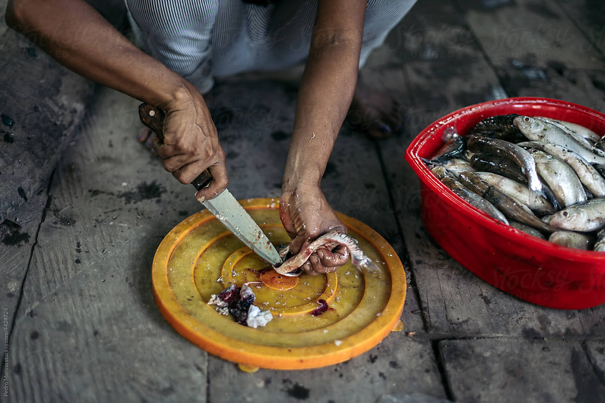 Anonymous peruvian woman cleaning fresh fish