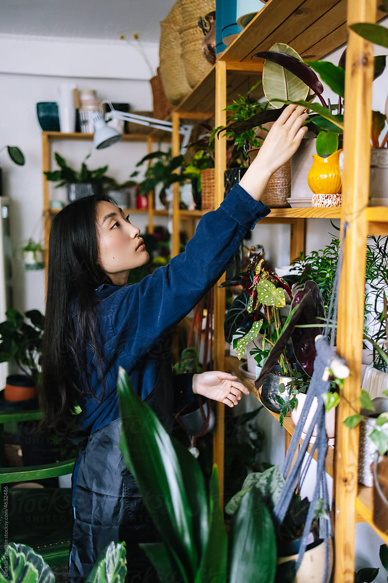 Female manager putting in order plants in flower studio