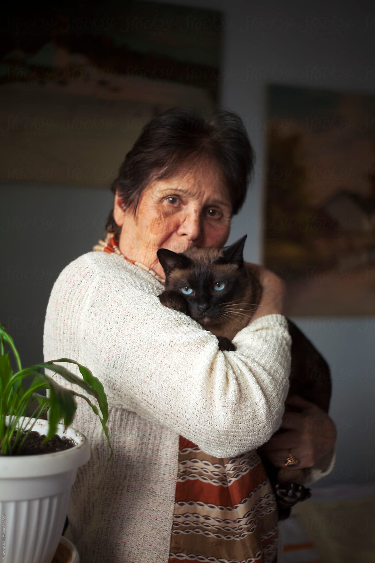 Older woman hugging her Siamese cat indoor