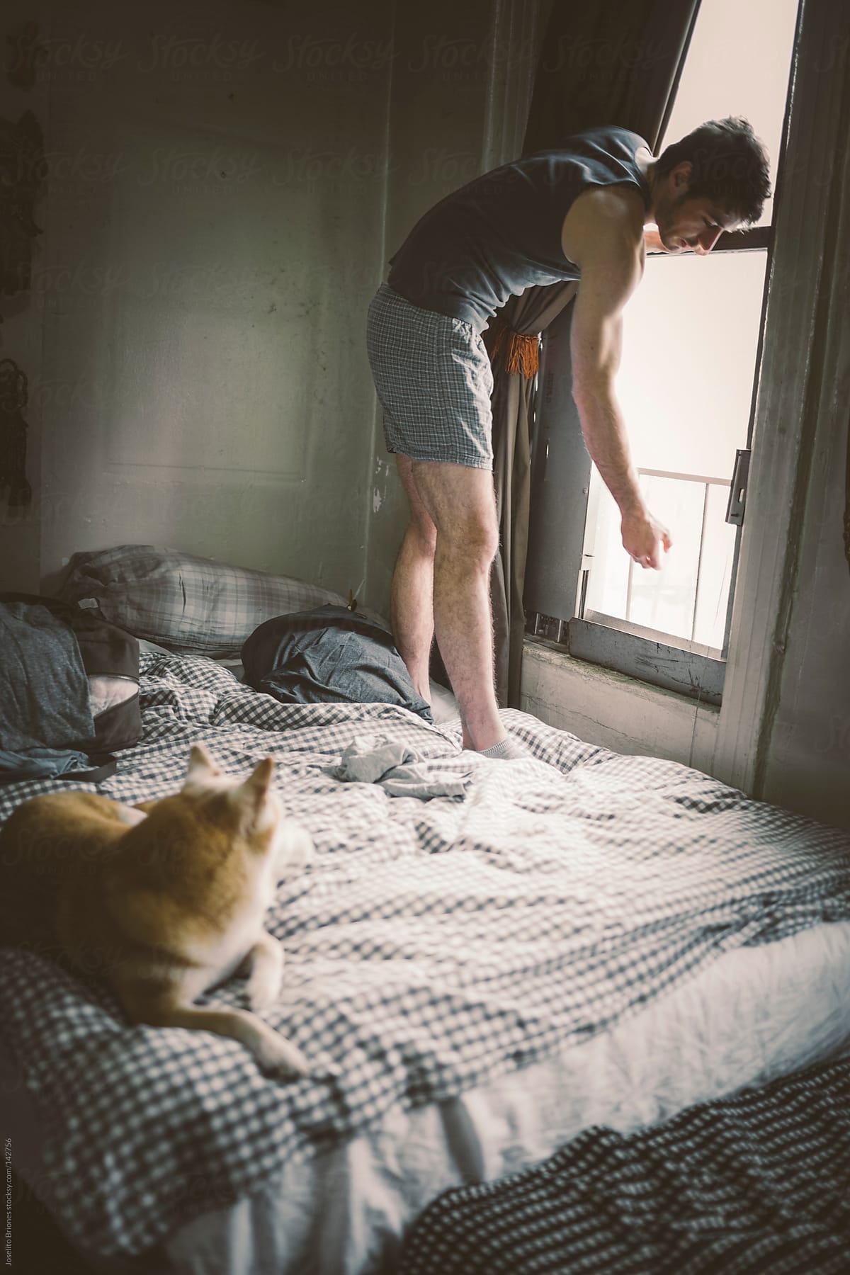 Man Opens Bedroom Window while Pet Dog Watches