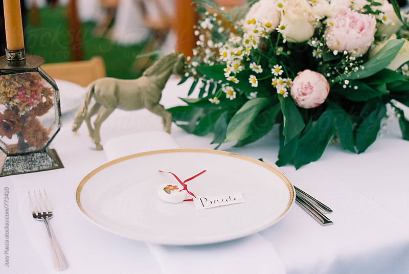Wedding dinner table setting - Bride