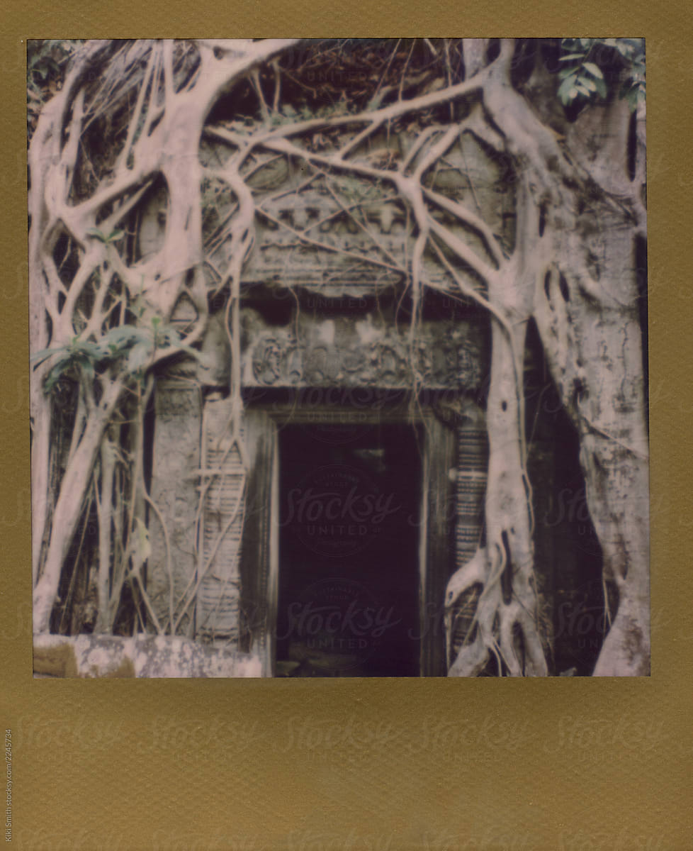 Tree Root Covered Door in Ta Prohm, Cambodia