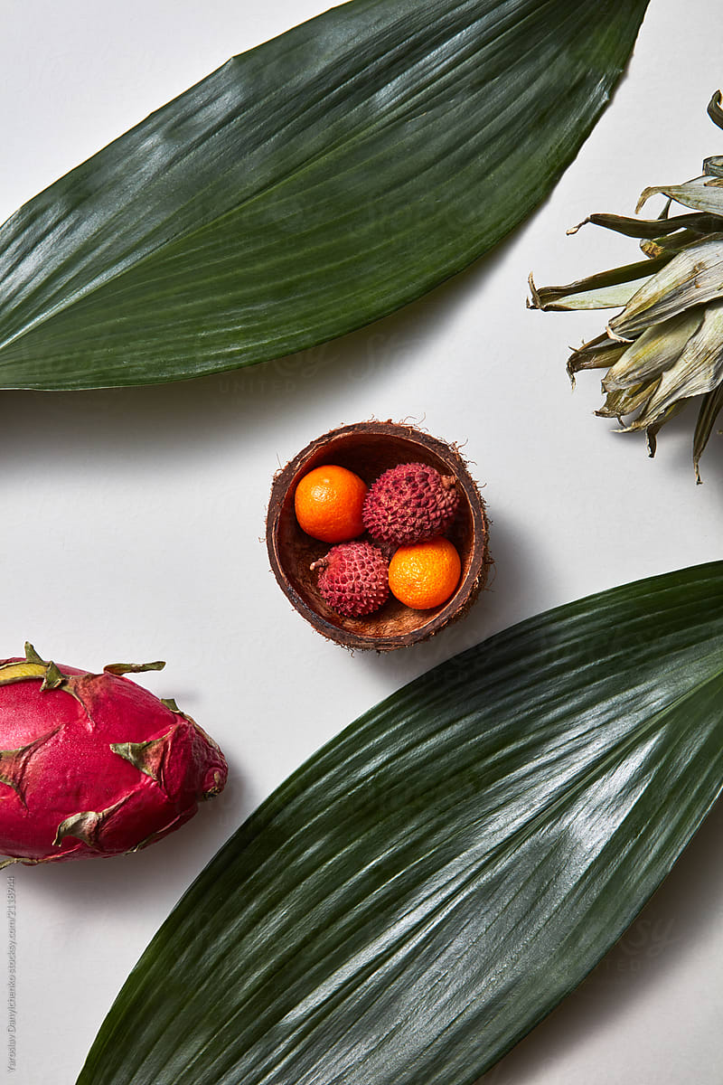 Tropical leaves with litchi, dragonfruit and kumquat fruits