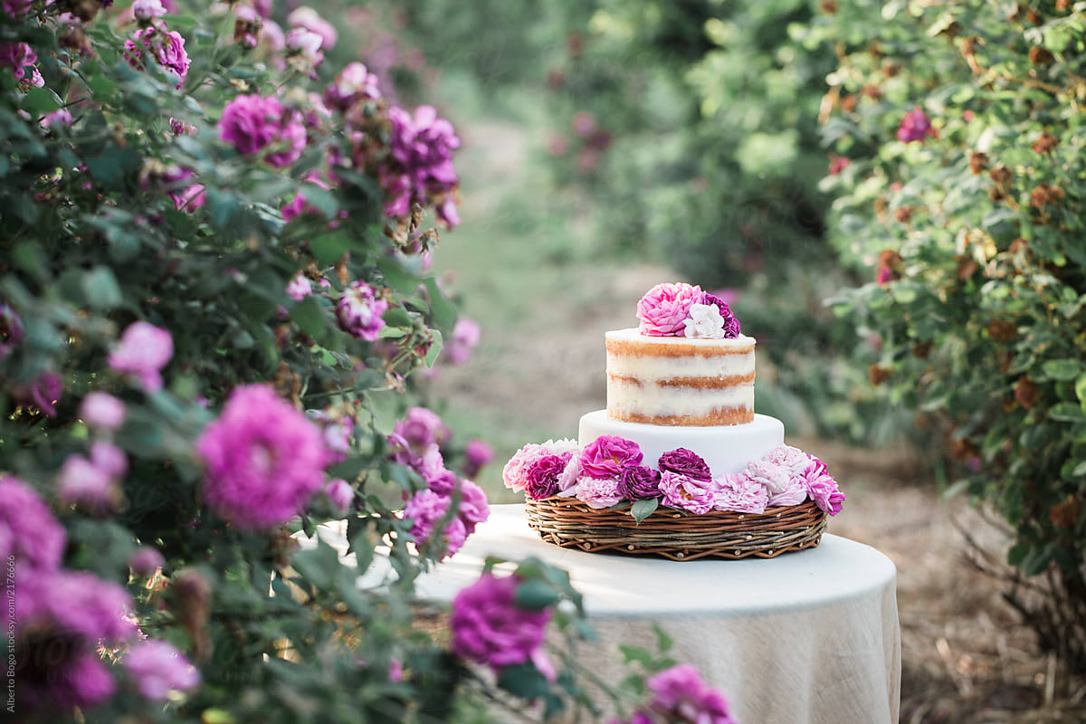 Wedding cake in garden