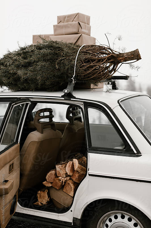 car ready for the holidays with tree and brown packages on top and firewood in the back seat