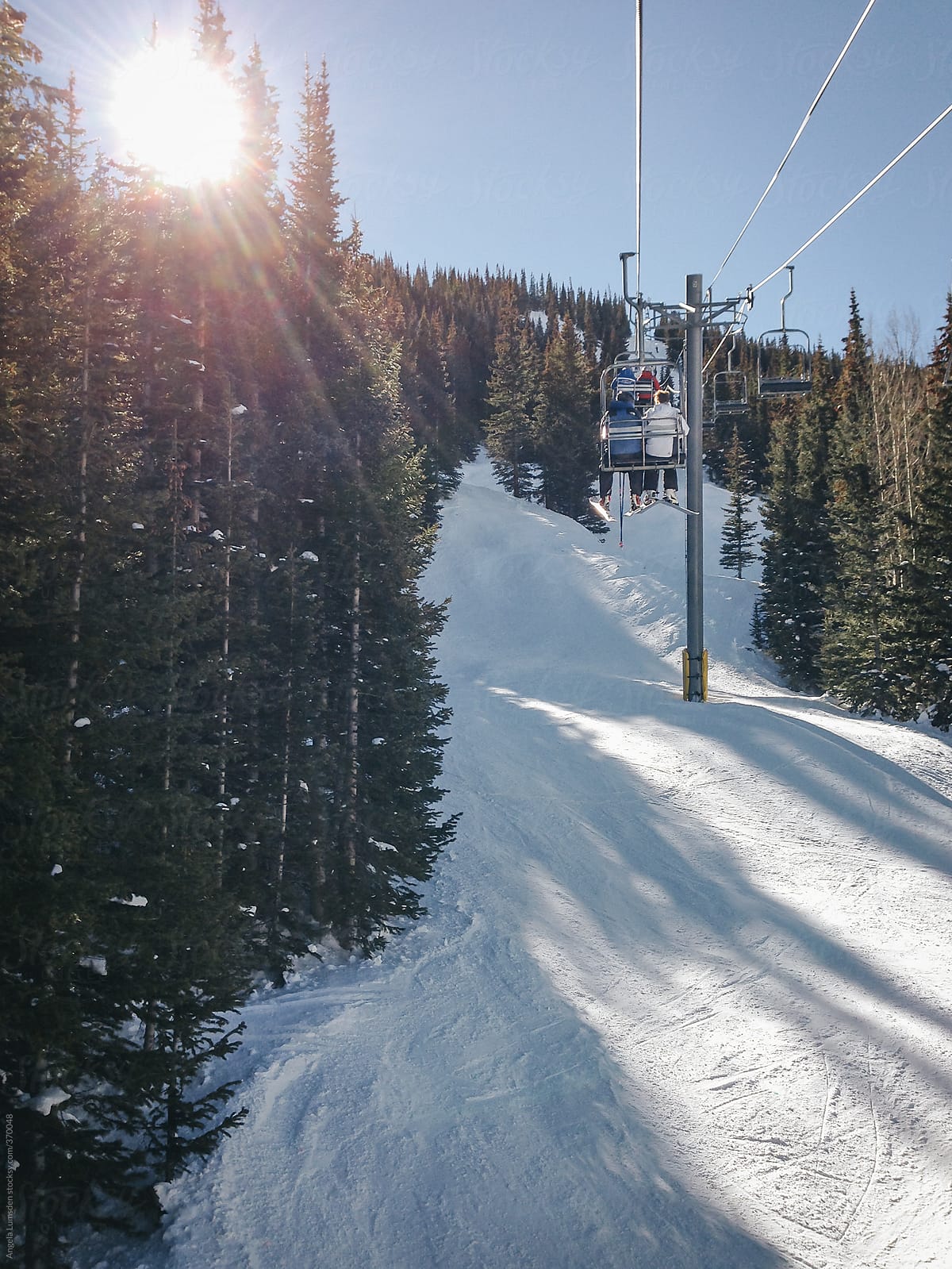 A chairlift ride through the trees on a bluebird day at a ski resort
