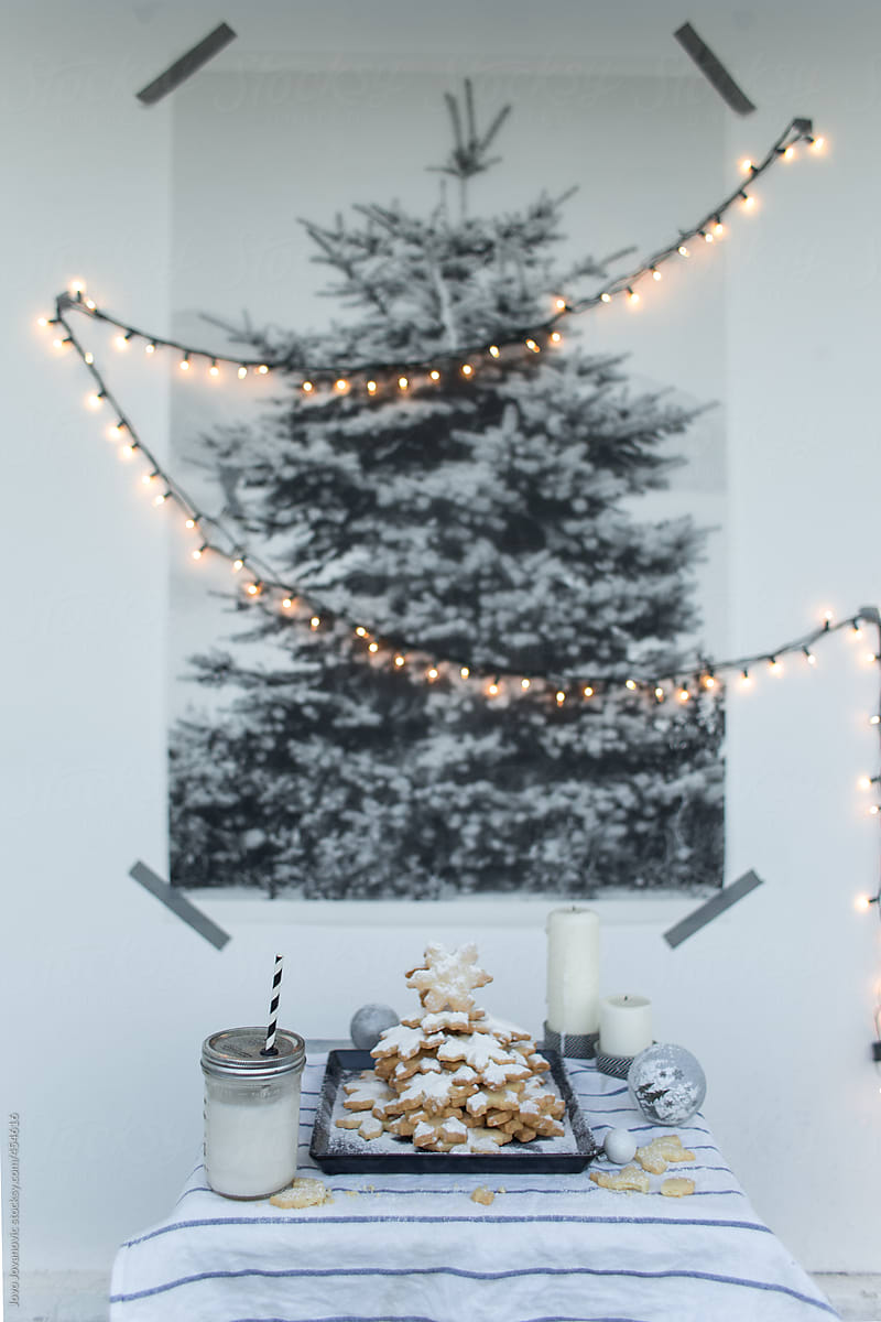 Christmas Cookies with Milk in front pine tree photo