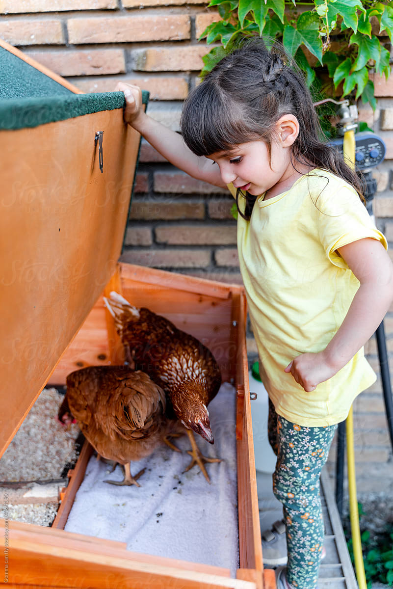 Little girl looking after chickens in the yard