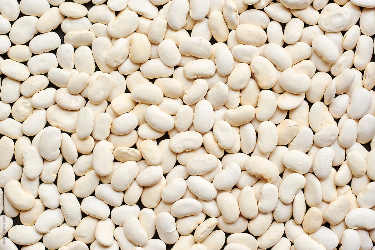 Large lima beans
