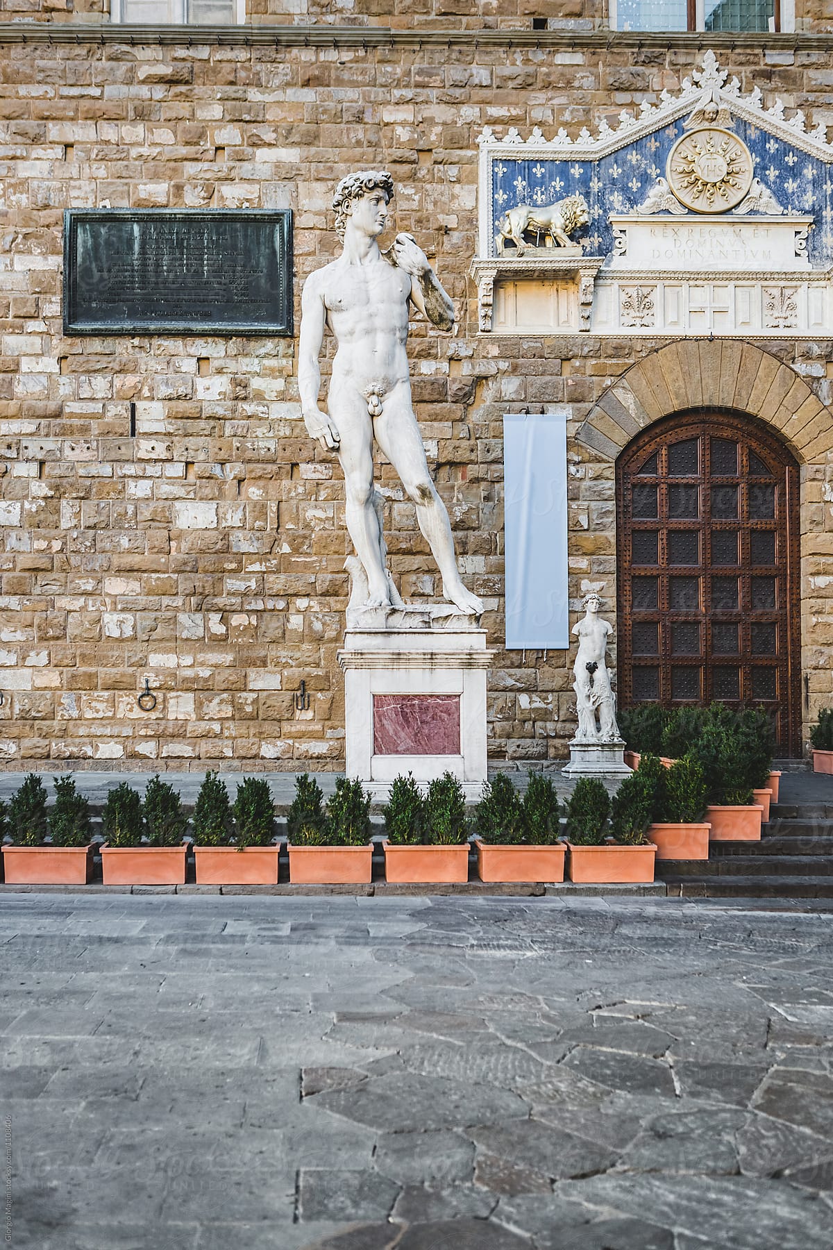 Michelangelo\'s David Statue in Florence, Italy
