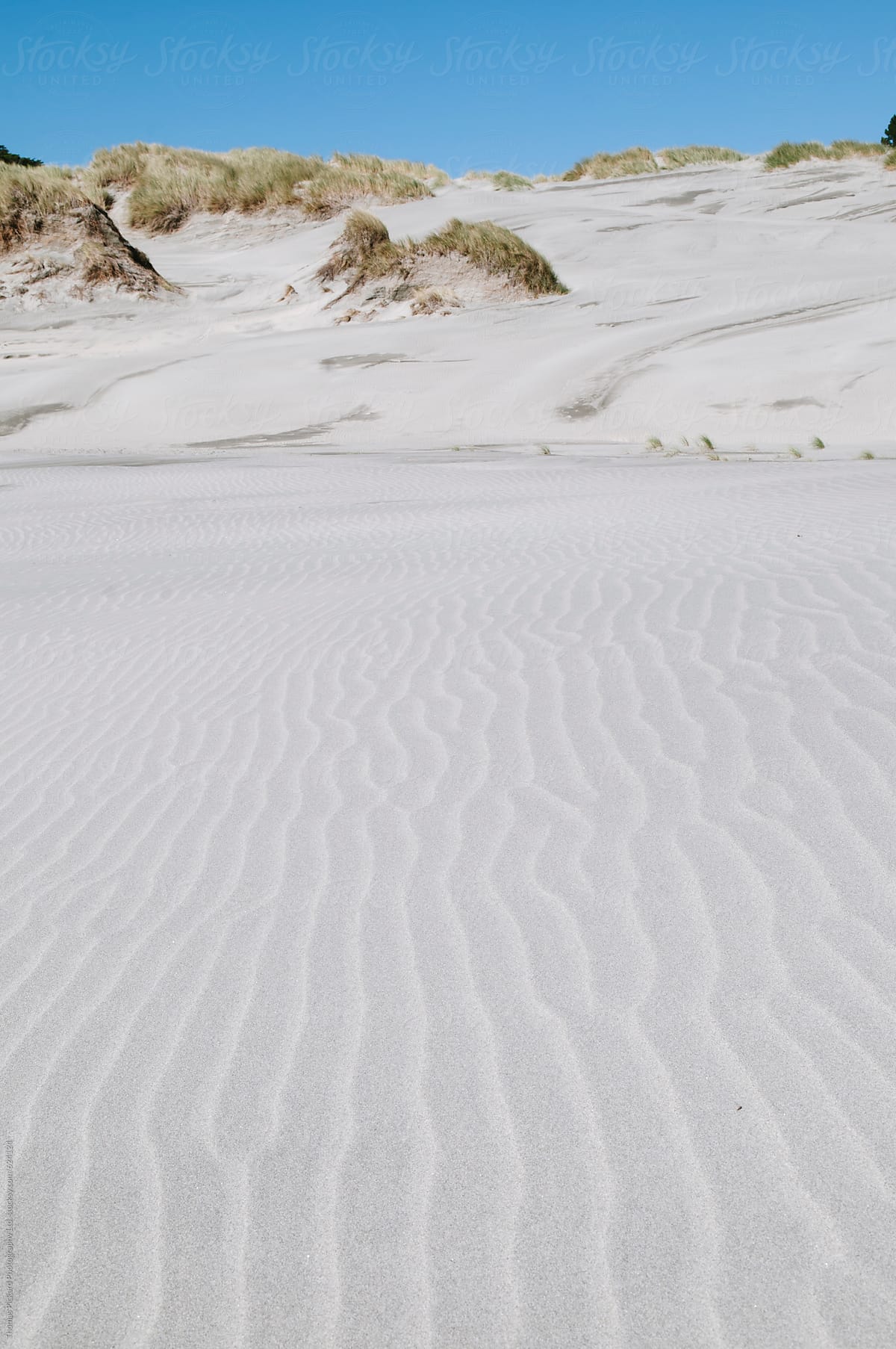 Sand dune patterns at Wharariki Beach, Golden Bay, New Zealand.