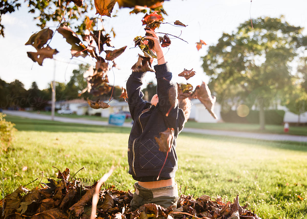 boy plays in leaf pile in autumn