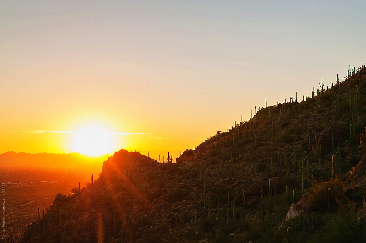 Sunset Over Mountains With Saguaro Cactus