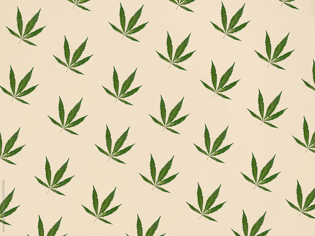 Cannabis Leaf Pattern