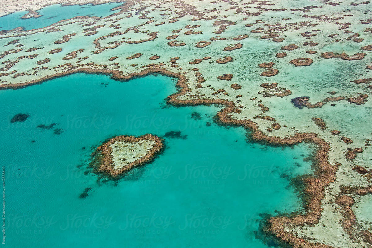Heart Reef - Great Barrier Reef aerial Australia