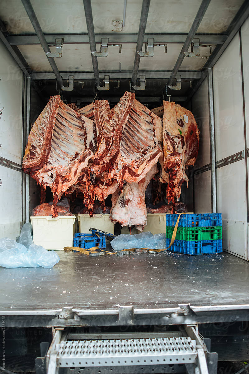 Fresh meat in industrial refrigerator