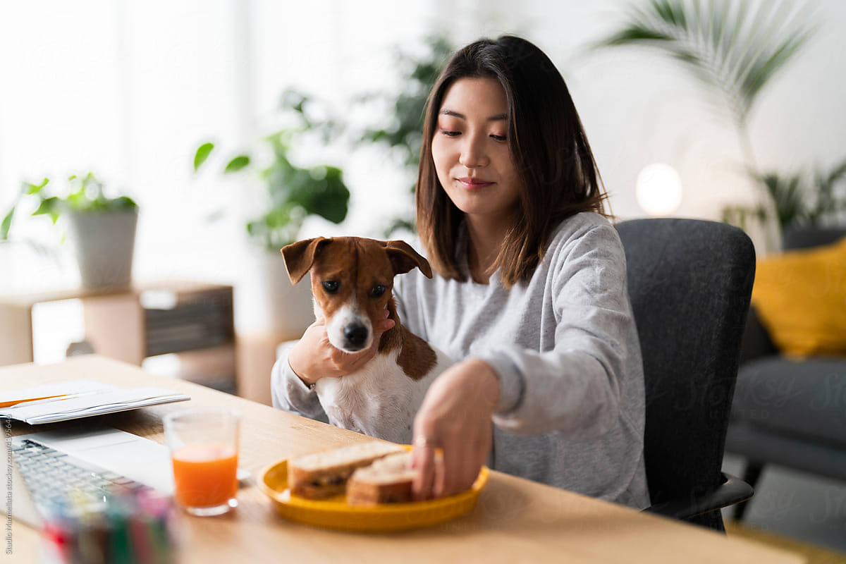Asian self employed woman with dog having lunch at home