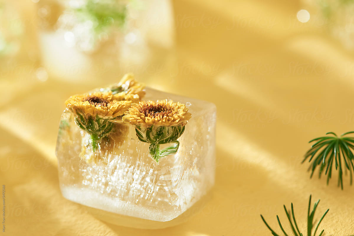 Frozen small flowers in ice cube