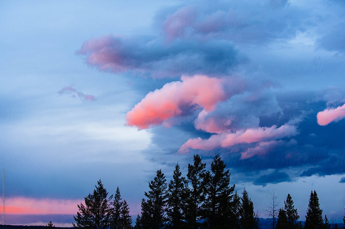 Sunset Reflecting off Puffy Clouds over Silhouetted Pine Trees in Wyoming