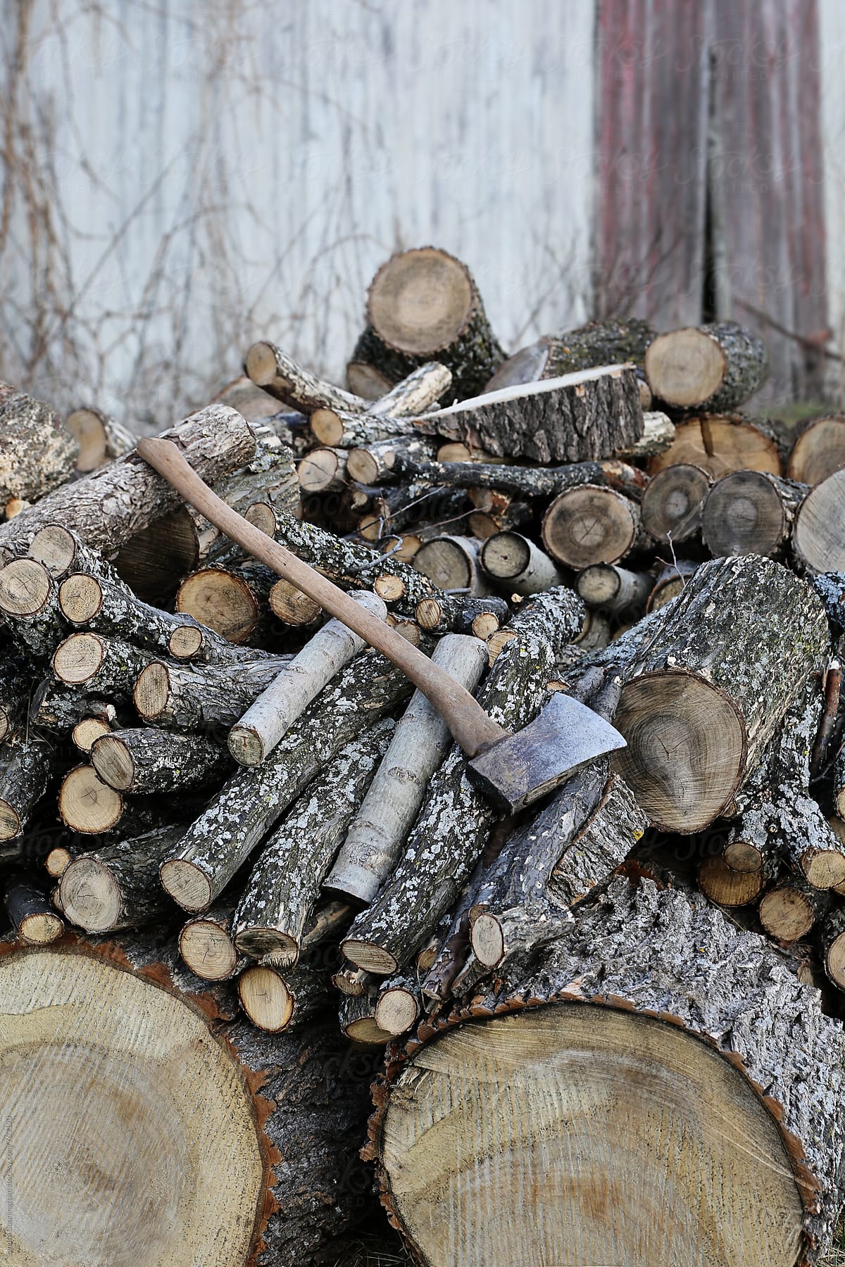 Closeup Of A Stack Of Wood Logs by Stocksy Contributor Sandra Cunningham  - Stocksy