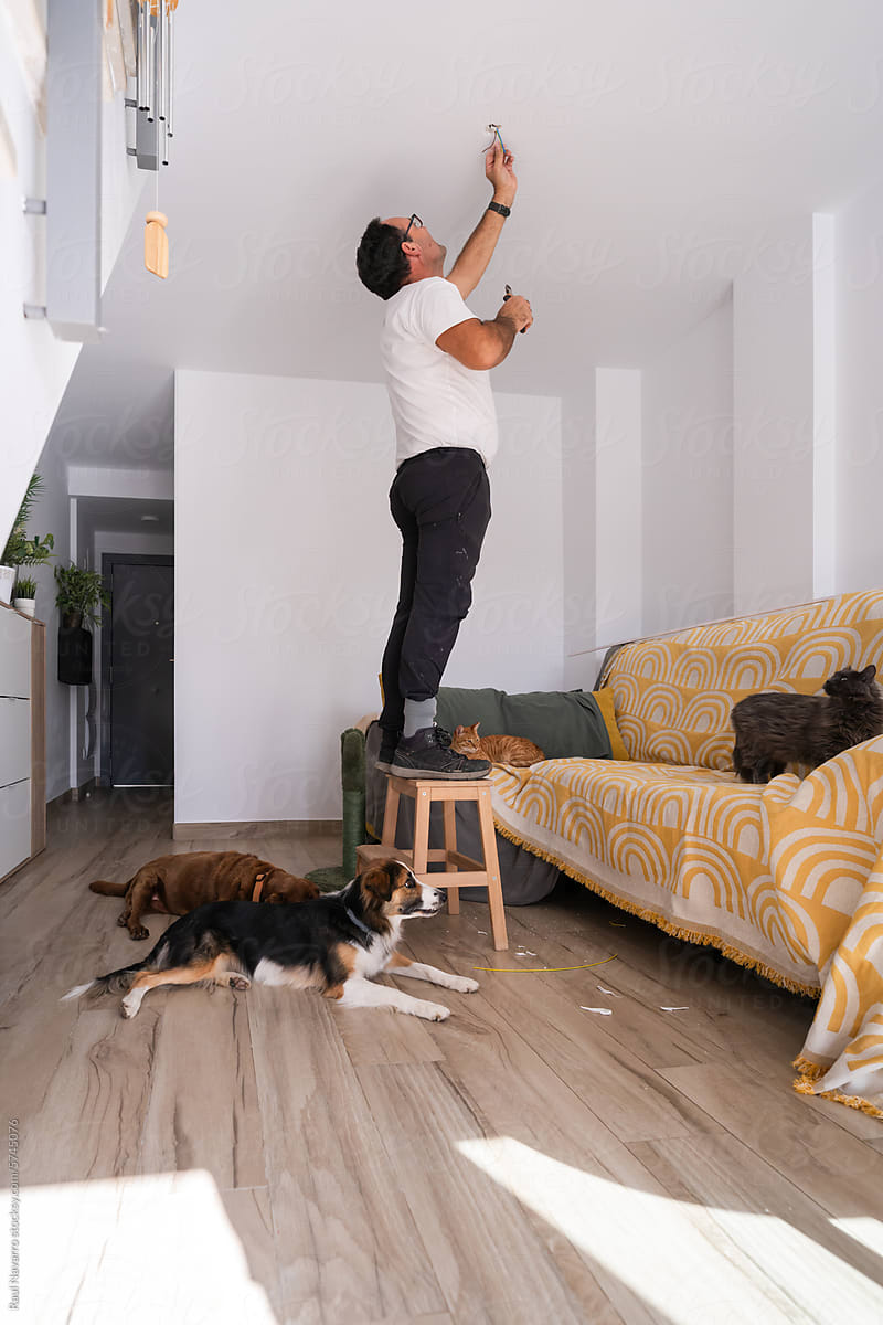 senior man doing home repairs surrounded by his pets.