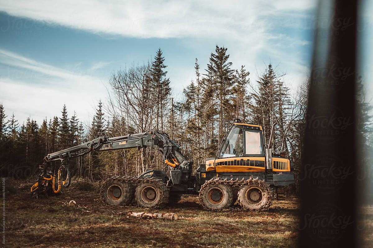 logging machine in the woods