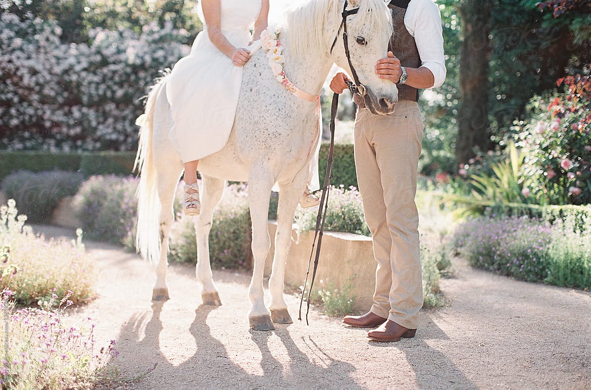 Bride on a white horse