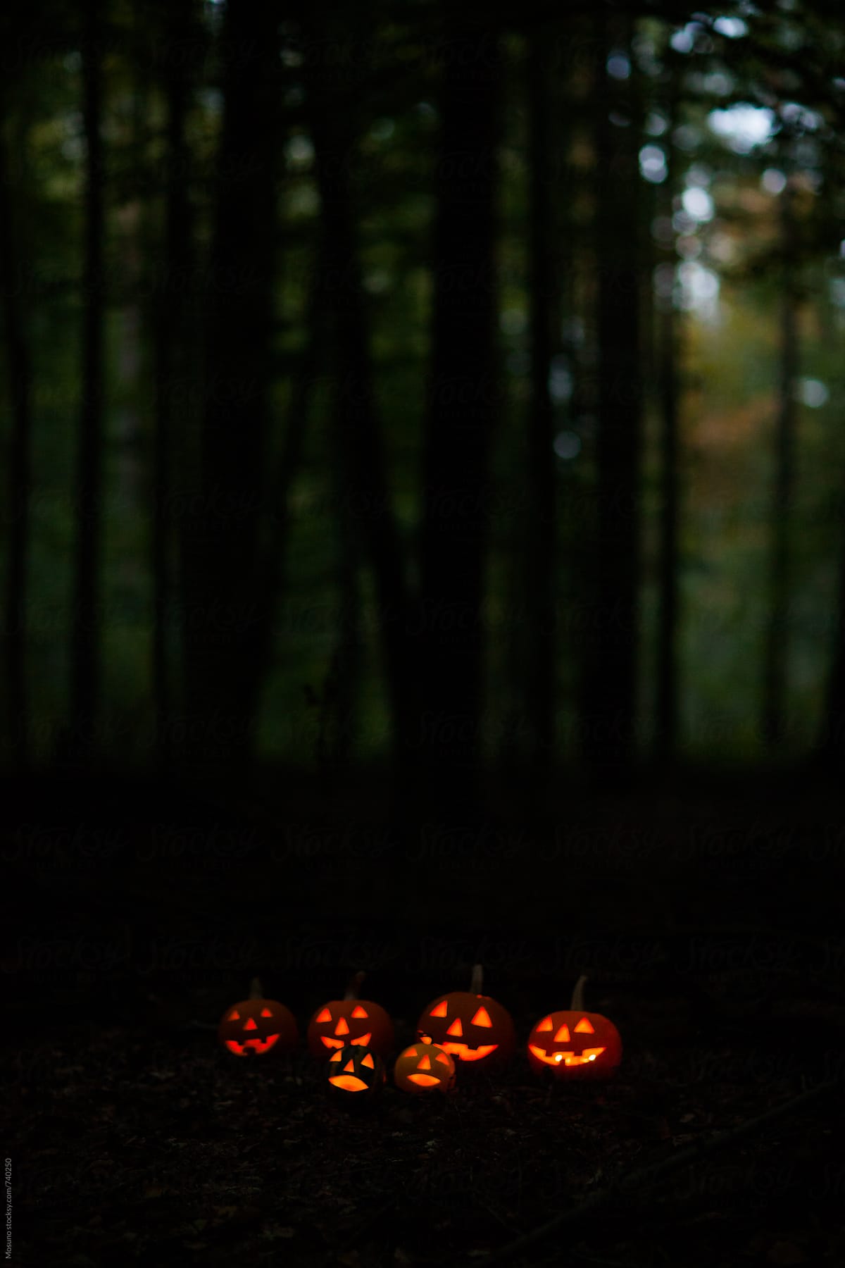 Scary Halloween Pumpkins in the Forest at Dusk