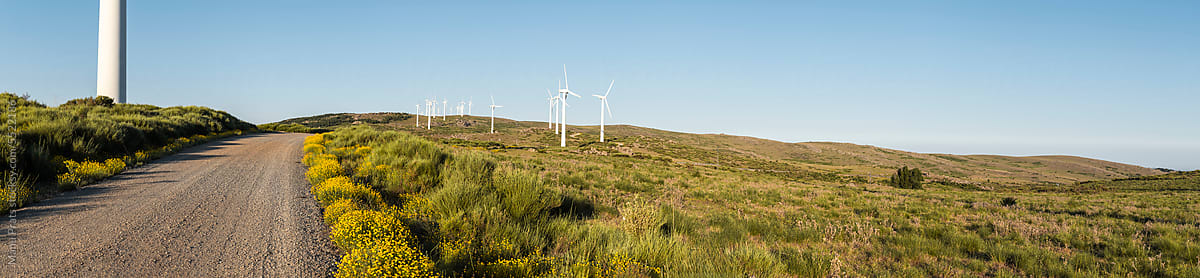 Renewable energy windmill