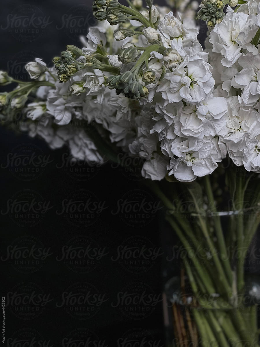 Bouquet of white flowers in vase