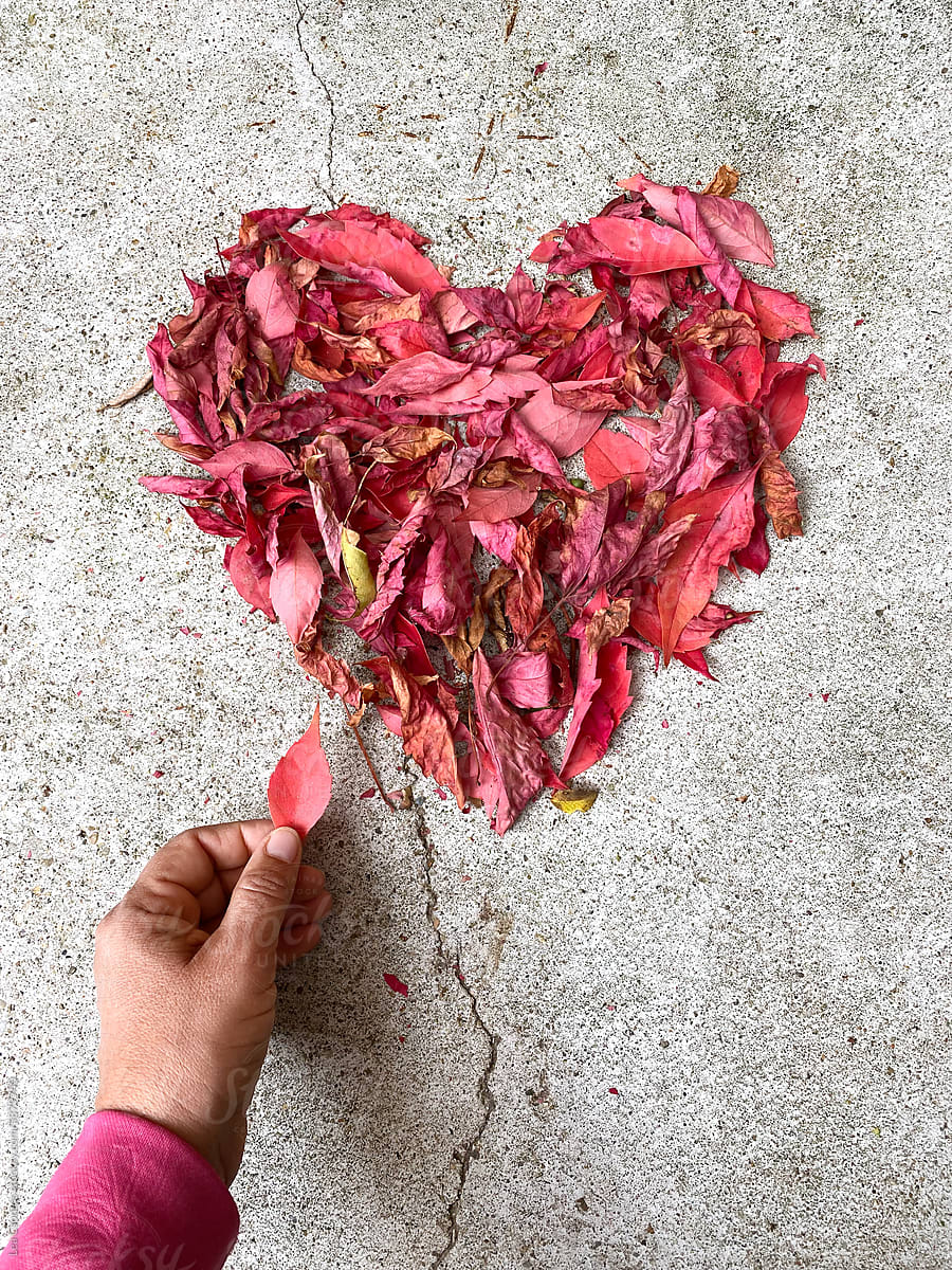 Red and pink leaves forming a heart on the ground.
