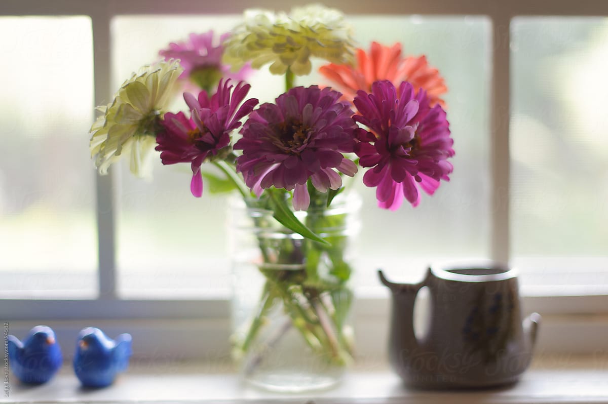 Colorful Zinnias in a Glass Vase in a Kitchen Window
