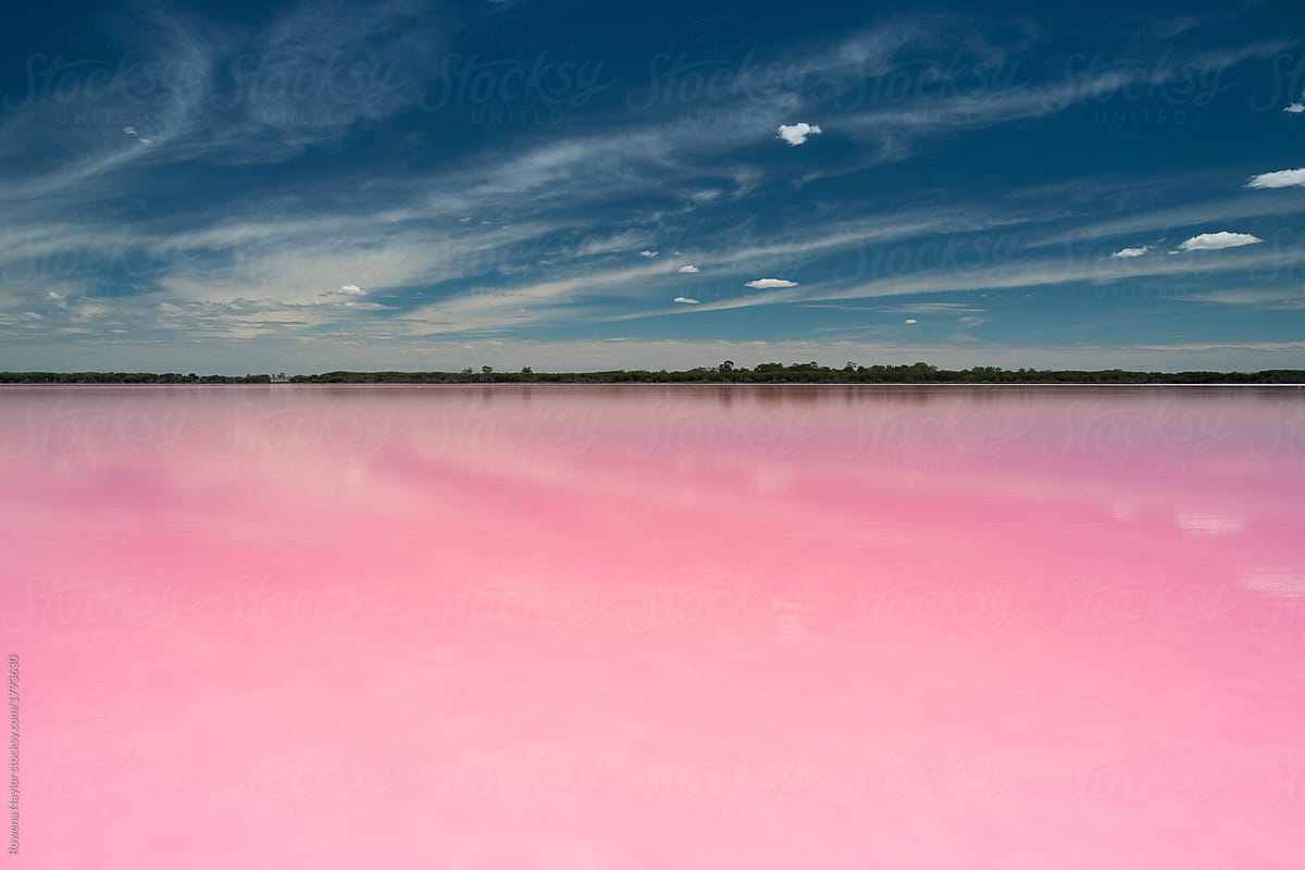 Natural pink salt lake in Australia