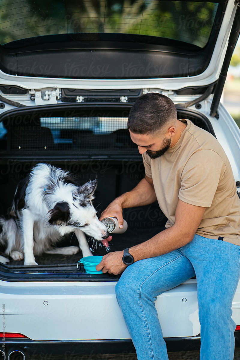 Man giving water to dog in car trunk