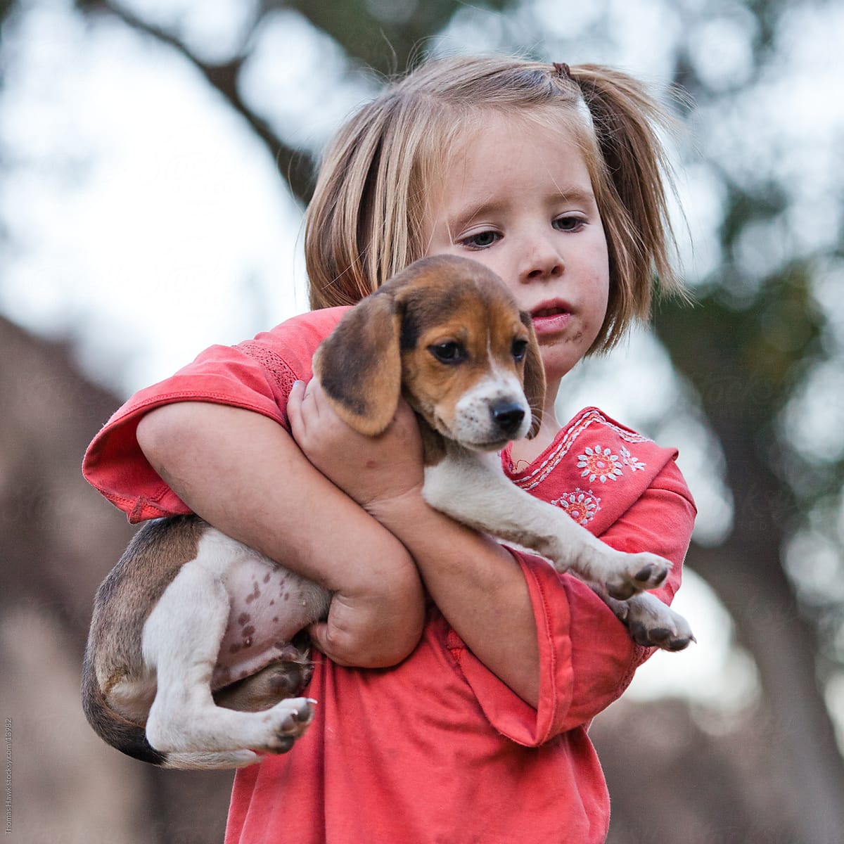 Girl and beagle puppy