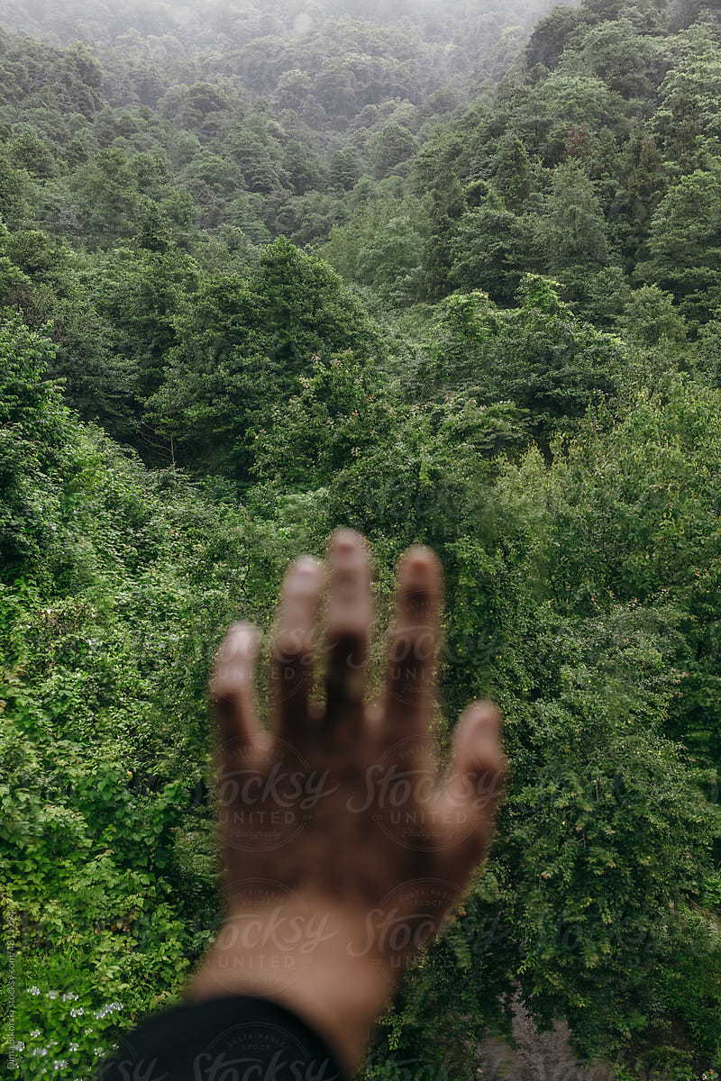 the hand touches a beautiful landscape with a mountain misty forest