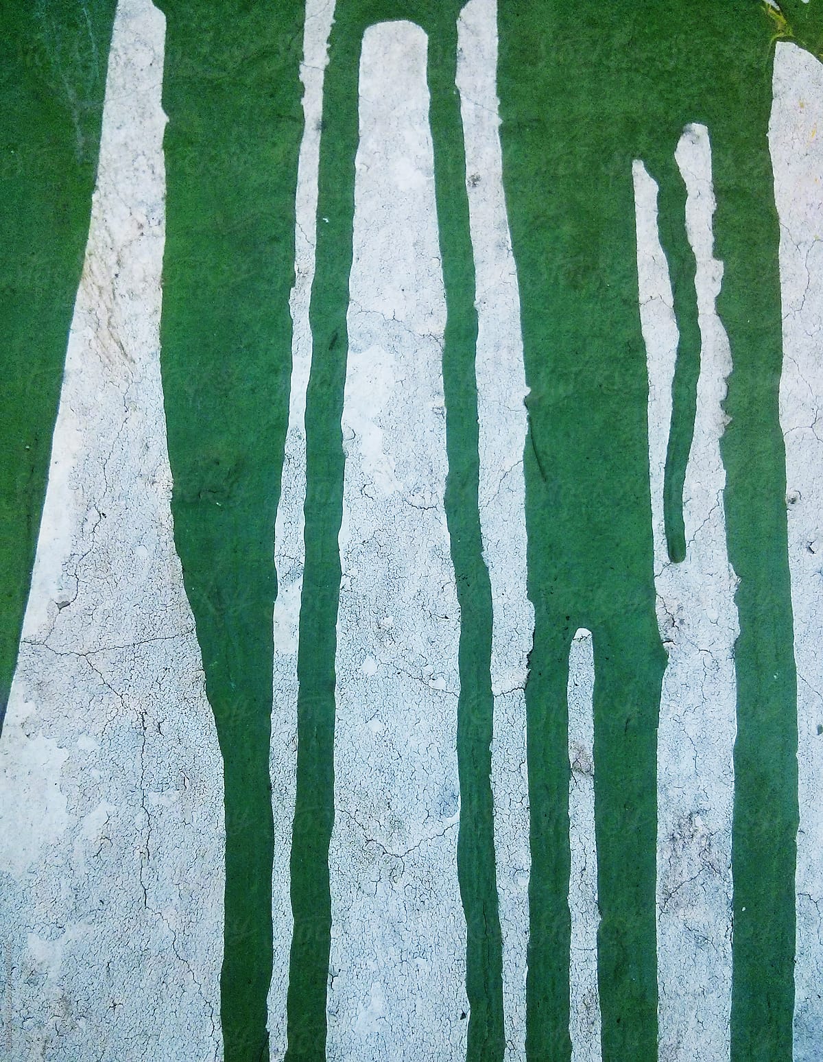 Dried Green Paint Spillage
