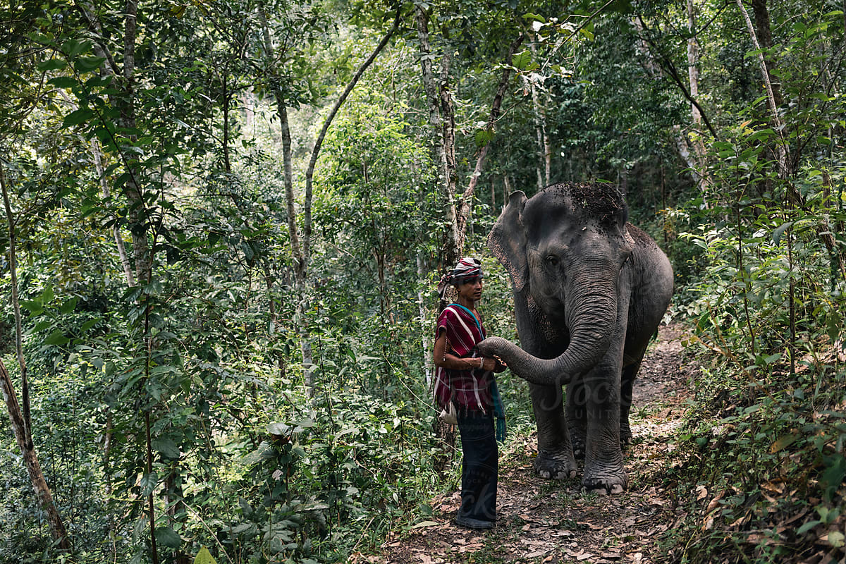 Man and a Elephant in nature
