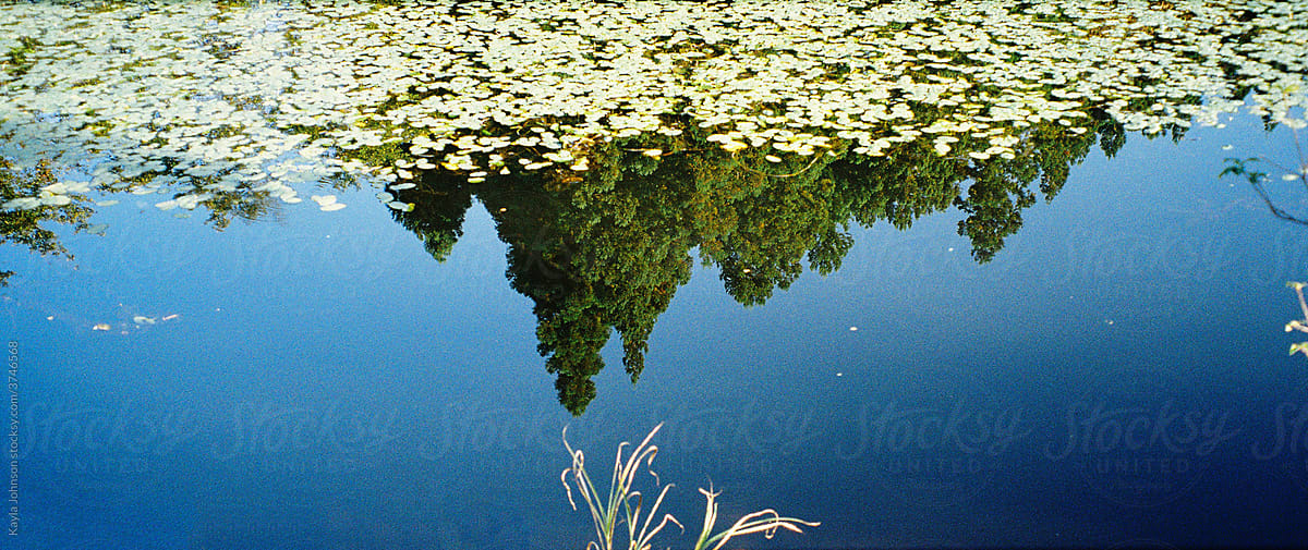 Lake\'s Reflection