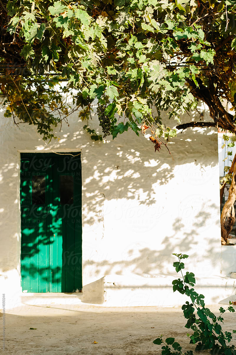 Vines and green door Greece