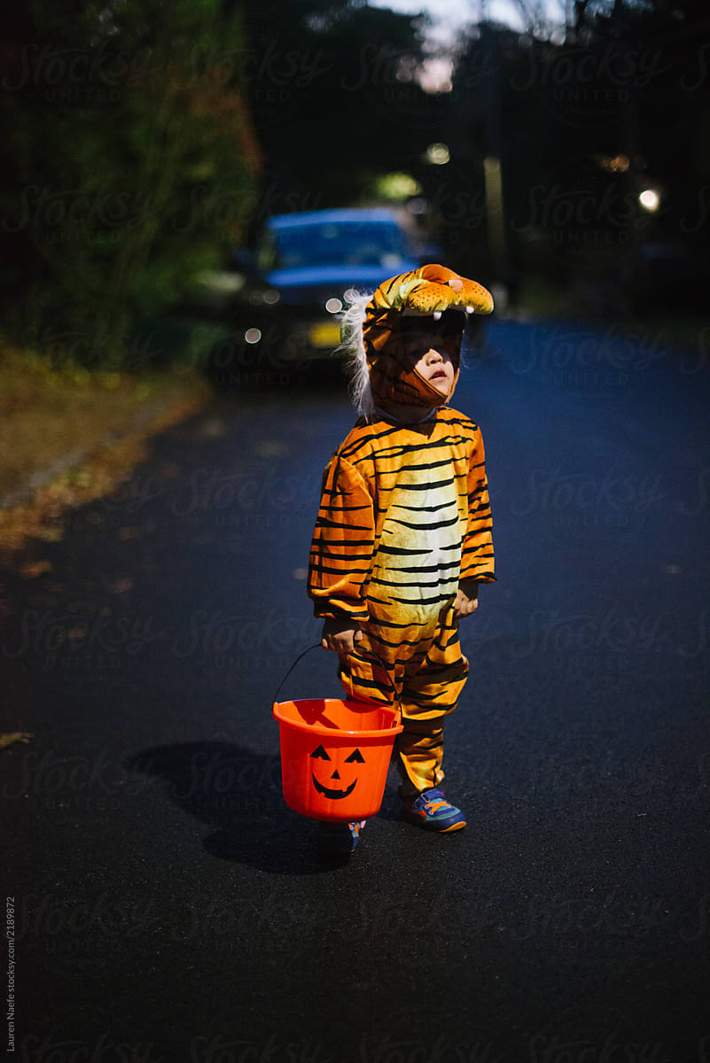 Little kid in tiger Halloween costume
