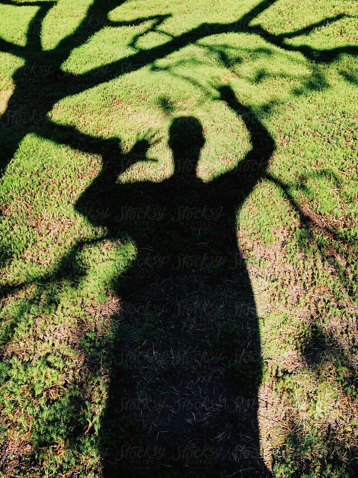 The shadow of a man with his arms raised mimics the shadows made by the tree branches