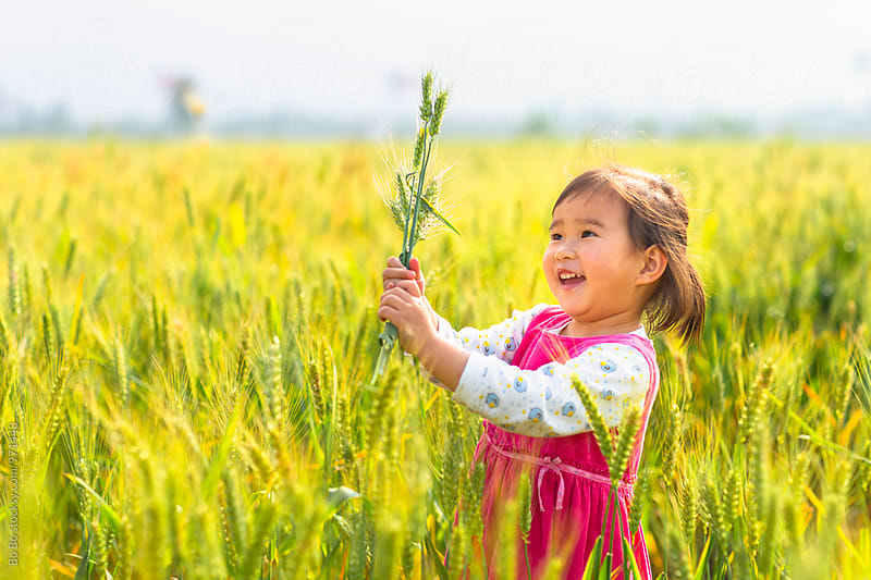 lovely little asian girl outdoor in the wheat field