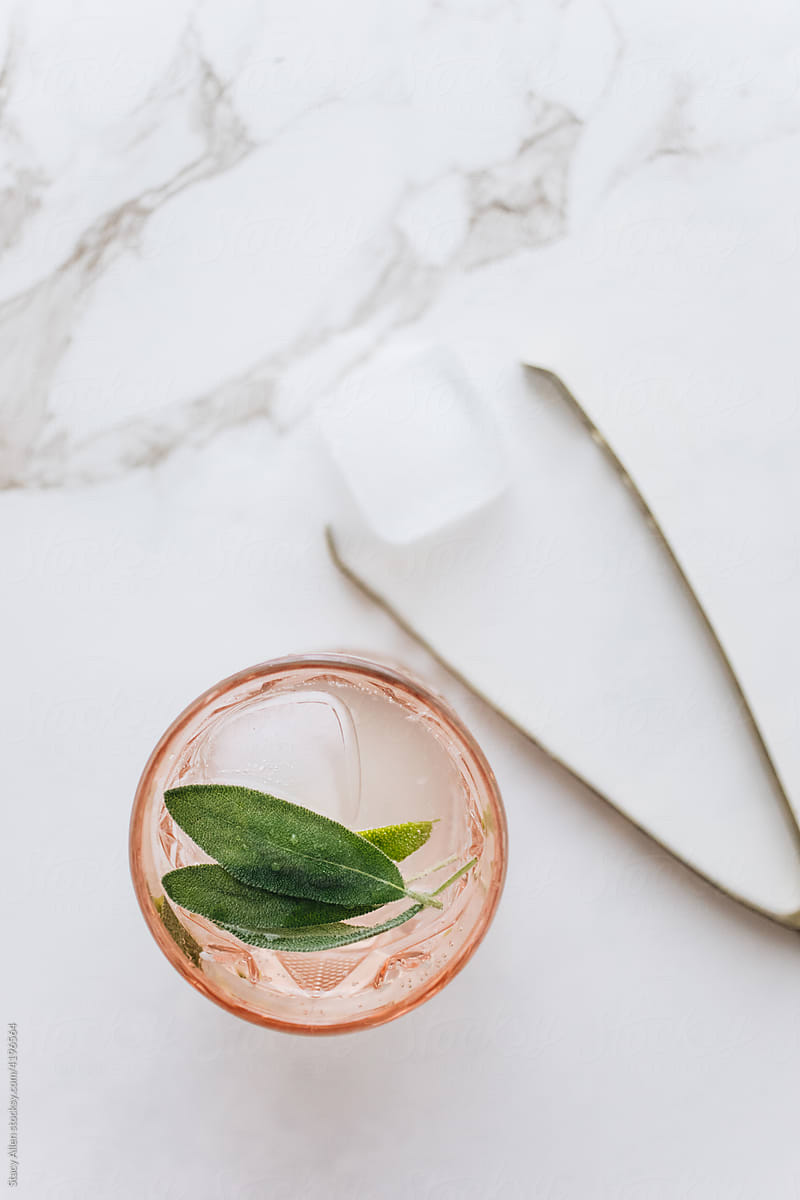 Gin + Tonic Cocktail