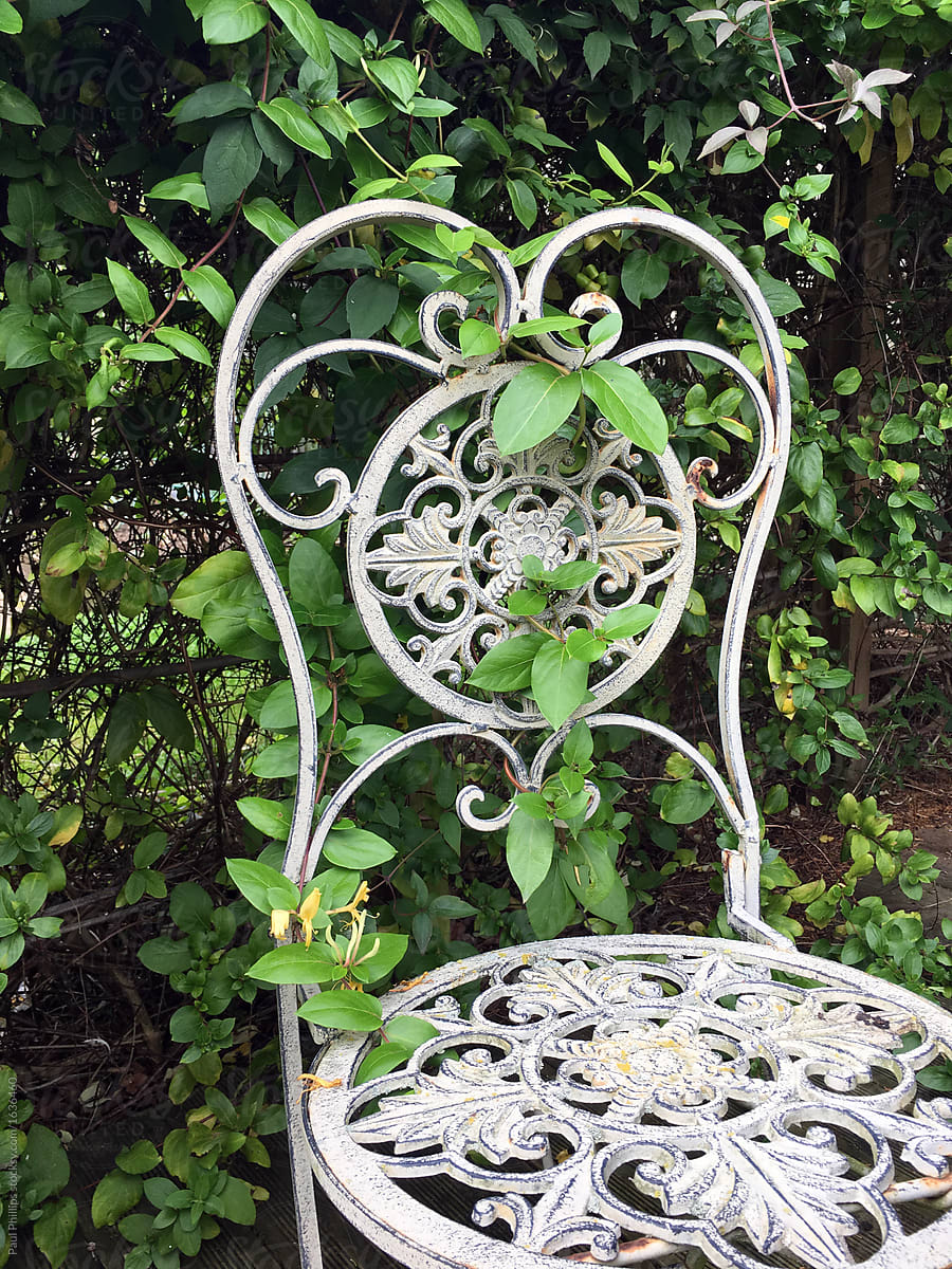 Garden chair with foliage growing through.